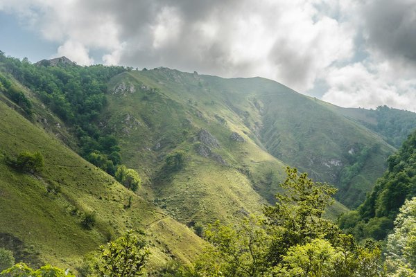 Quels sont les meilleurs spots pour observer la faune sauvage dans le parc national de Yellowstone, USA : périodes et conseils ?